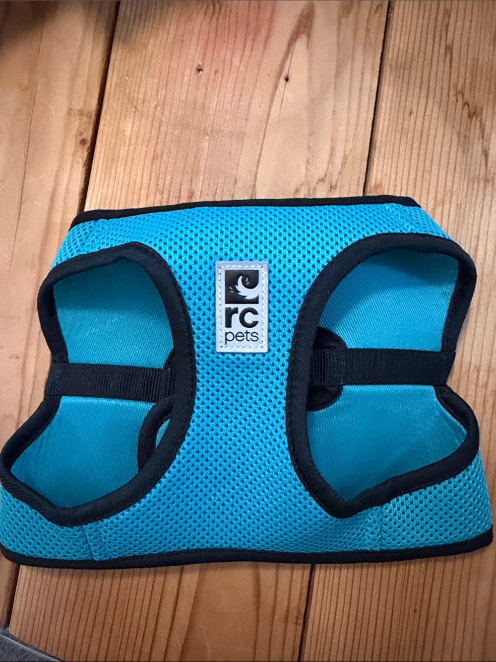RC Pets Teal Mesh Dog Harness - Comfortable Small Dog Vest